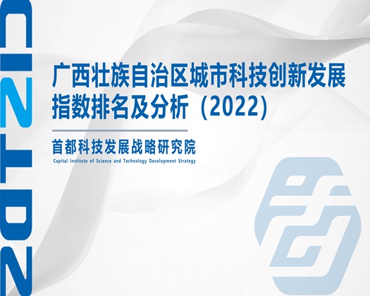 女生逼叫鸡吧操了视频【成果发布】广西壮族自治区城市科技创新发展指数排名及分析（2022）